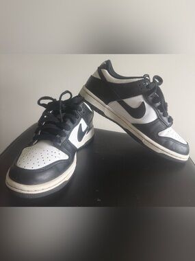 Nike Dunk Low Big Kids’ Sneakers